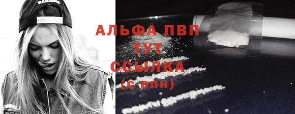 крисы Горняк