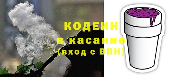 крисы Горняк