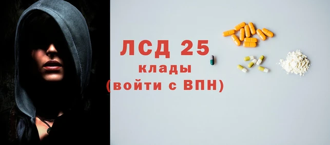крисы Горняк