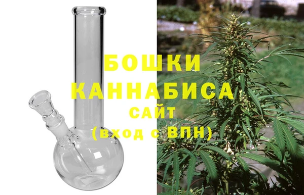 крисы Горняк