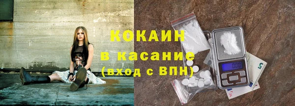 крисы Горняк