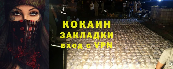 крисы Горняк
