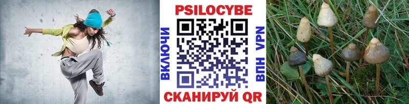 Галлюциногенные грибы Psilocybe  сайты даркнета клад  Суровикино 